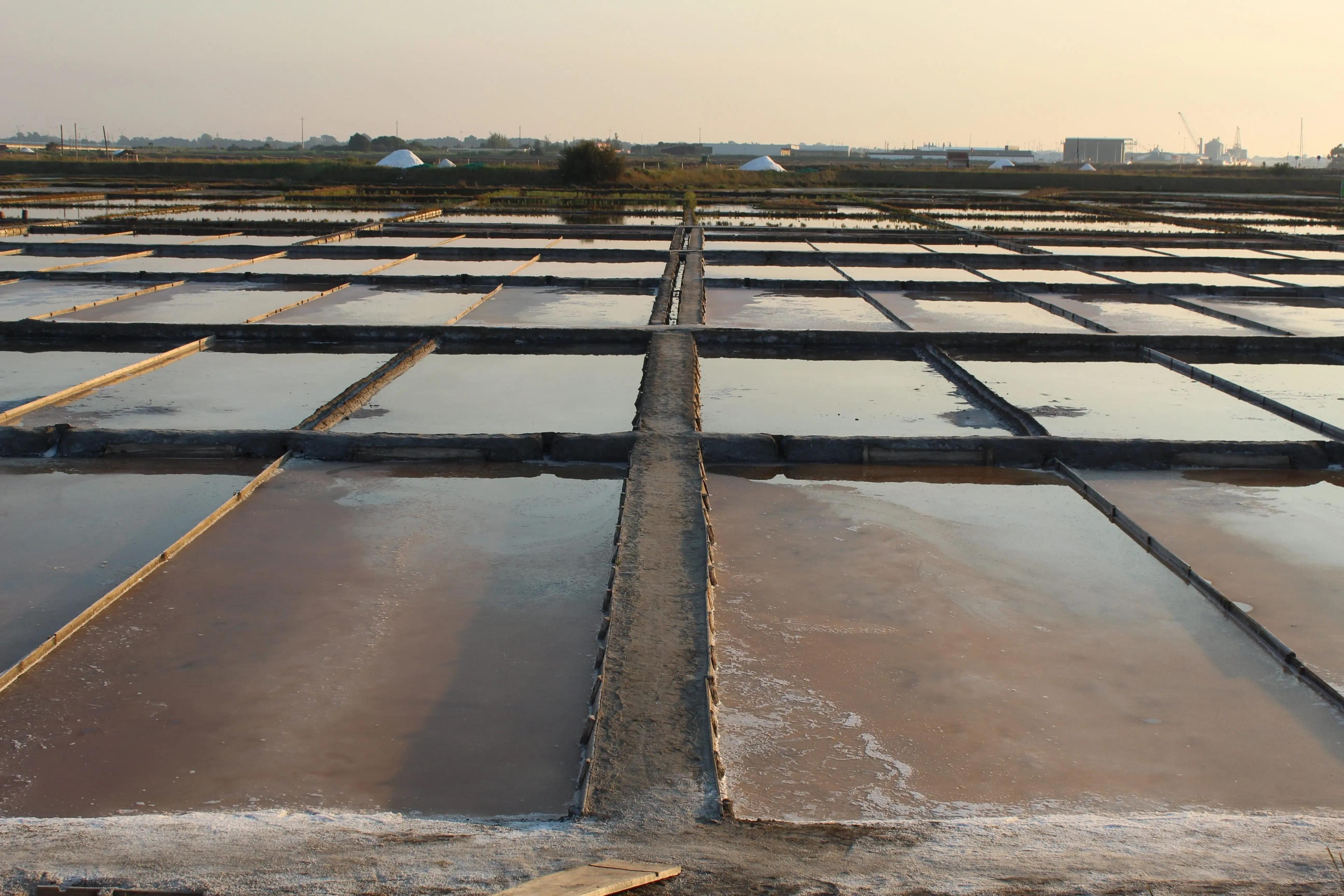Why is curing concrete important? And various methods of concrete curing.